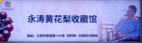 三亞鳳凰機(jī)場廣告有哪些媒體形式?