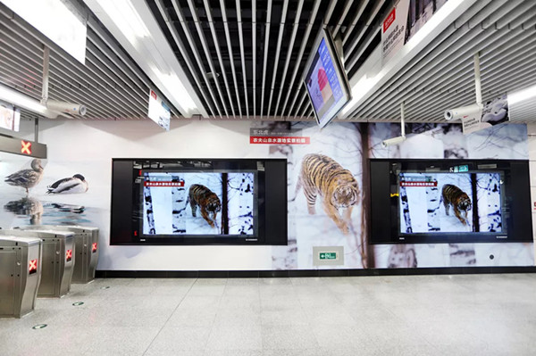 農夫山泉北京地鐵廣告 農夫山泉北京地鐵廣告