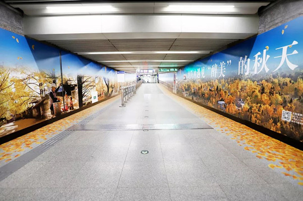 騰沖旅游北京地鐵廣告 騰沖旅游北京地鐵廣告