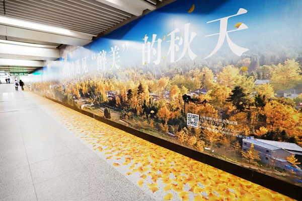 騰沖旅游北京地鐵廣告 騰沖旅游北京地鐵廣告