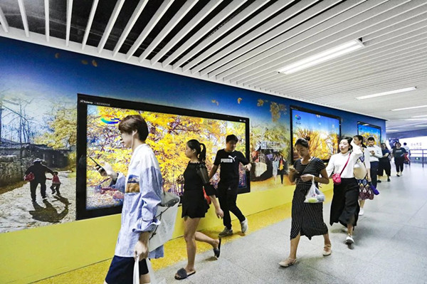 騰沖旅游深圳地鐵廣告 騰沖旅游深圳地鐵廣告