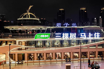 地標廣告聯(lián)動游輪廣告，三棵樹品牌驚爆上海外灘!