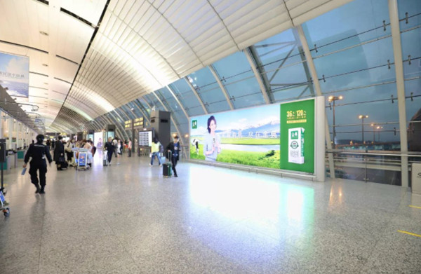 金典北京機(jī)場到達(dá)墻體燈箱廣告