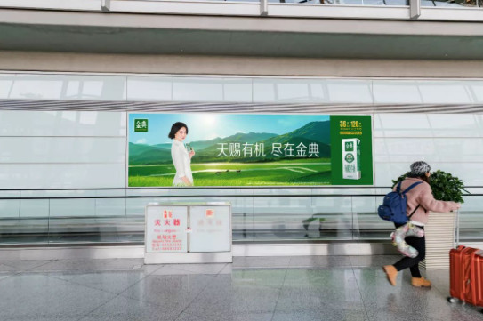 金典武漢機(jī)場出發(fā)到達(dá)混流區(qū)廣告