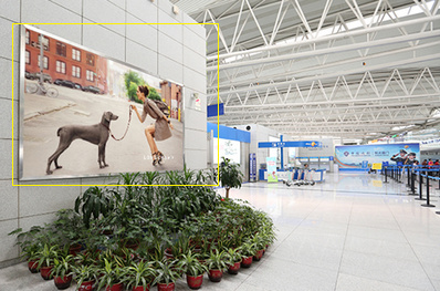 青島機(jī)場(chǎng)國(guó)際出發(fā)區(qū)燈箱廣告