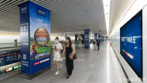 上海地鐵花木路站廣告價(jià)格多少錢？上海地鐵會(huì)展廣告案例亞寵展