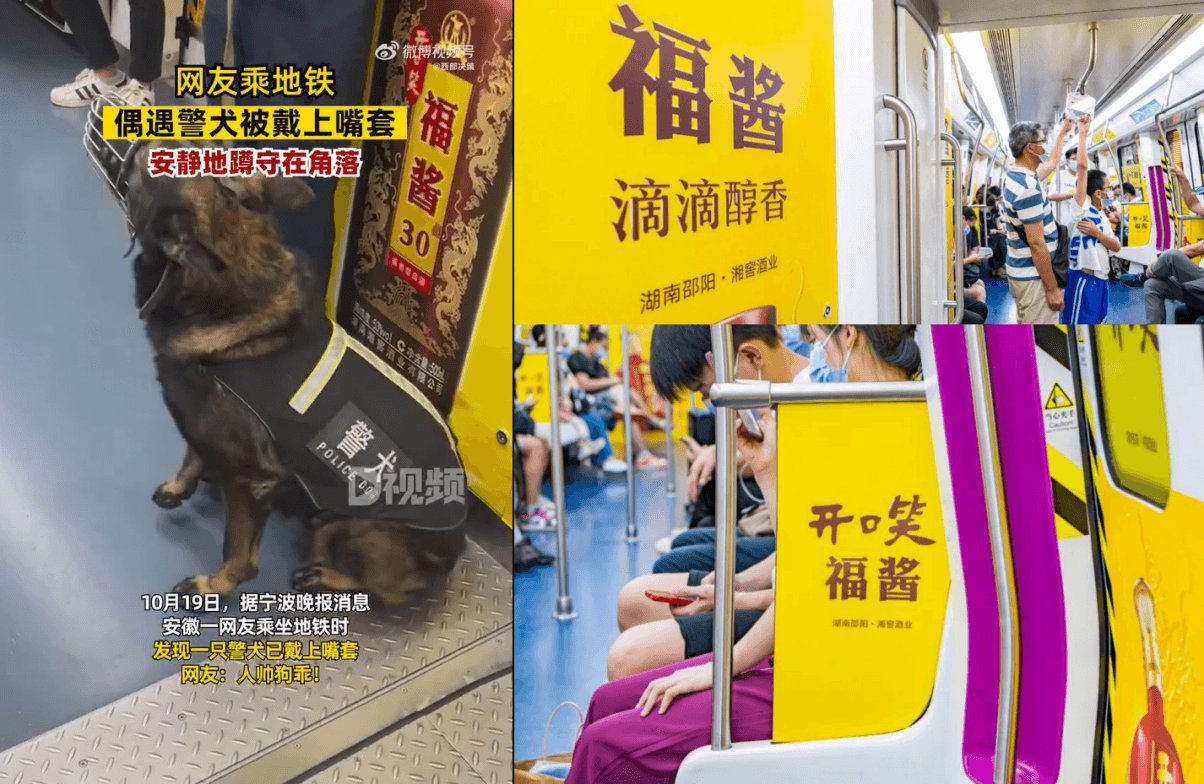 長沙地鐵廣告價(jià)格多少錢？長沙地鐵列車內(nèi)包車廣告全線覆蓋酒案例