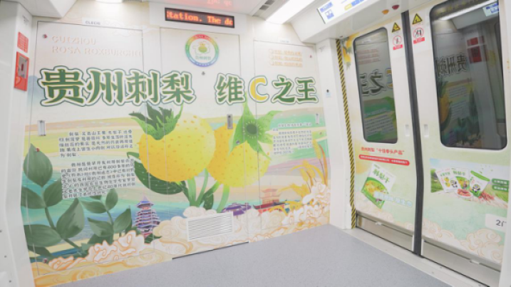貴陽地鐵廣告特產(chǎn)案例圖，貴陽地鐵廣告內(nèi)包車廣告價(jià)格多少錢？