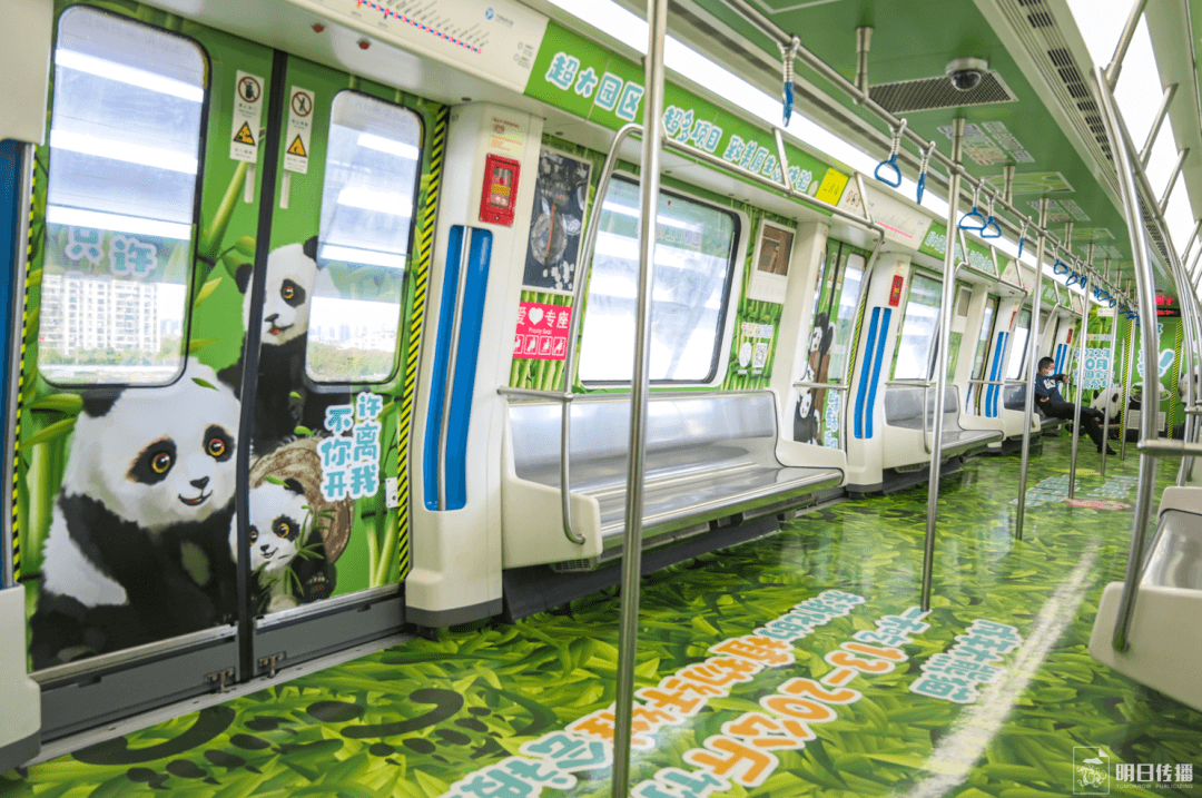 寧波地鐵車廂廣告價格多少錢？寧波地鐵廣告經(jīng)典全包車案例動物園