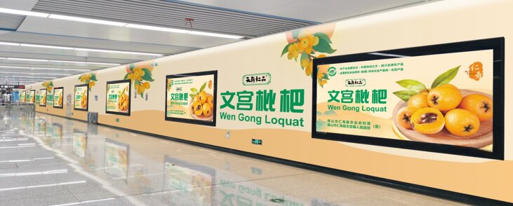 成都地鐵廣告-成都地鐵廣告投放價(jià)格-成都地鐵廣告公司