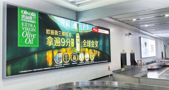 第一戶外傳媒-舟山普陀山機(jī)場(chǎng)-國(guó)內(nèi)到達(dá)行李廳墻面燈箱 
